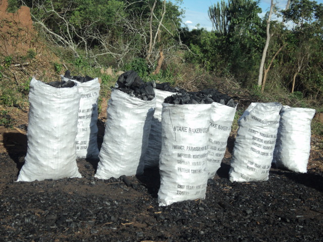 bags-of-charcoal